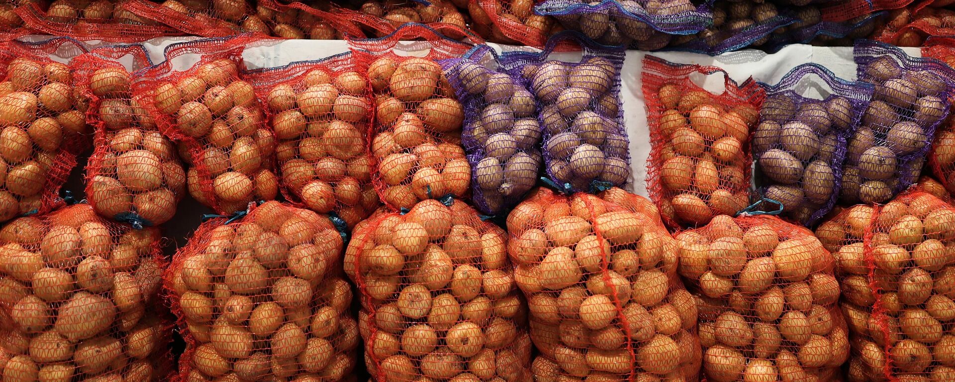 Бульба - Sputnik Беларусь, 1920, 05.10.2025