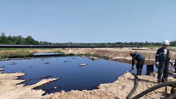 Разлив нефтепродуктов в Мозырском районе - Sputnik Беларусь