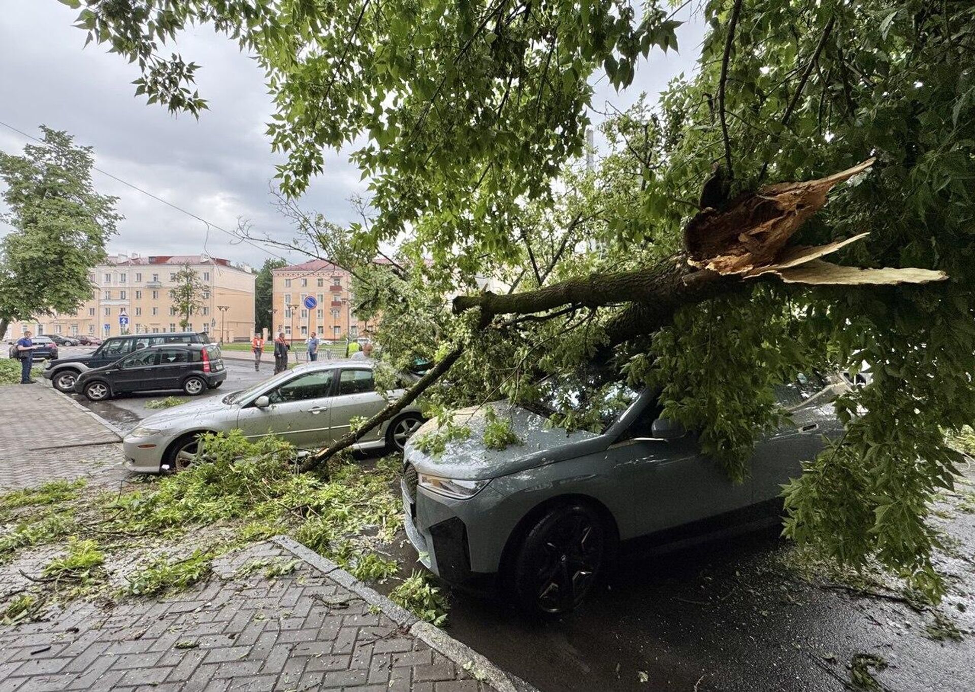 Последствия сильного дождя в Гомеле - Sputnik Беларусь, 1920, 03.06.2025