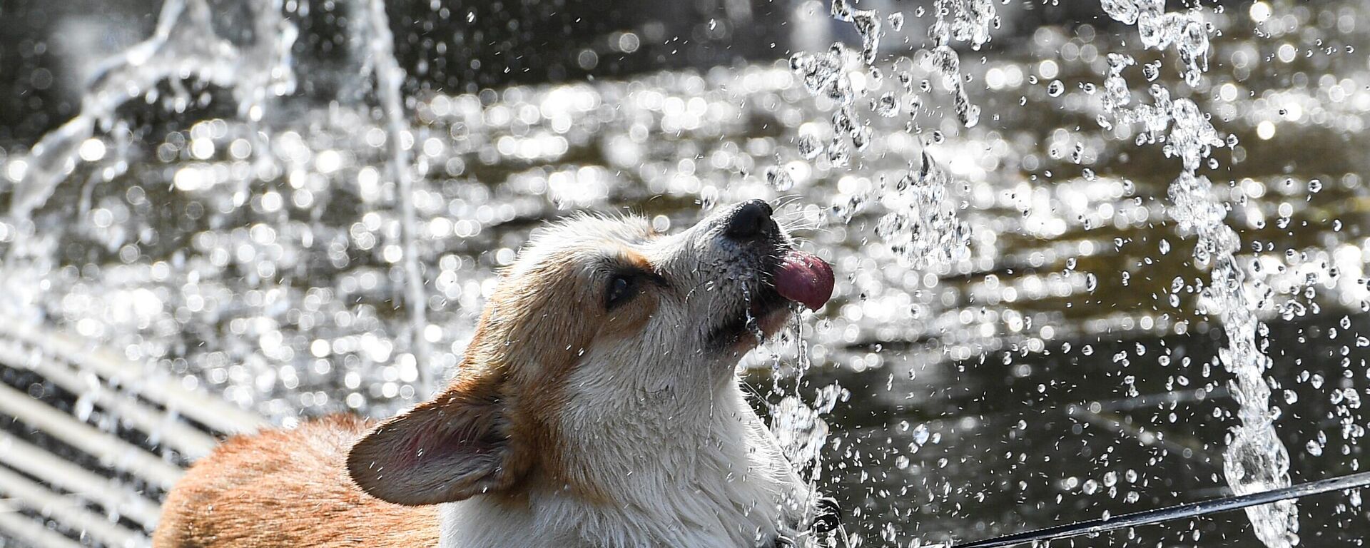 Спякота - Sputnik Беларусь, 1920, 08.08.2025