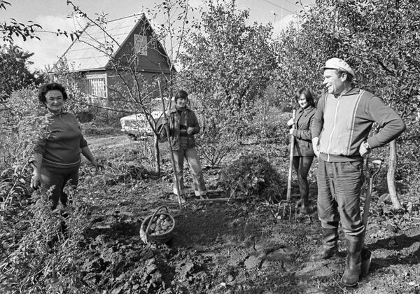 Рабочий Минского завода холодильников Николай Климович на своей даче с семьей - Sputnik Беларусь