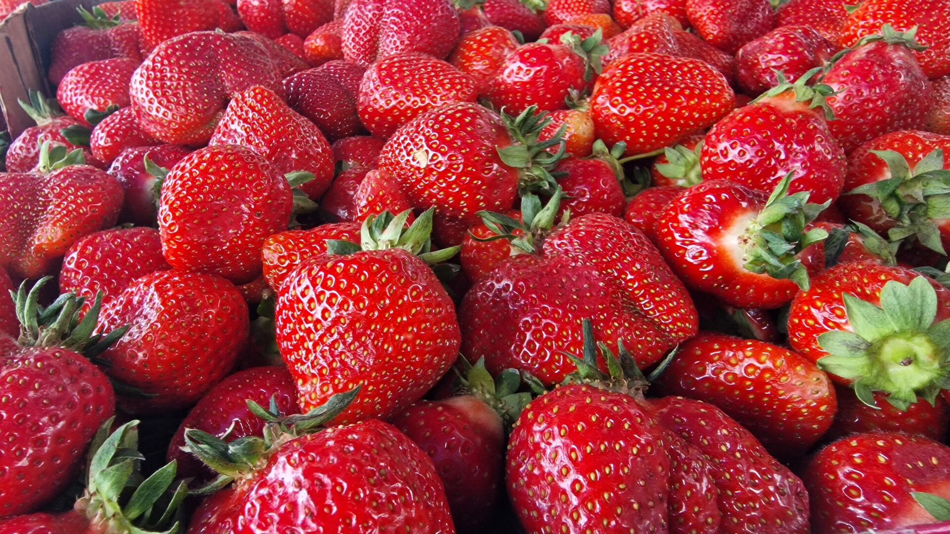 Клубника на Комаровке Клубника на Комаровке - Sputnik Беларусь, 1920, 06.06.2025