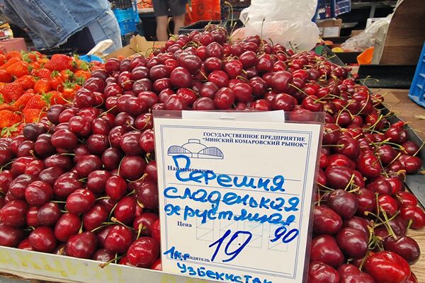 Черешня и абрикосы на Комаровке - Sputnik Беларусь
