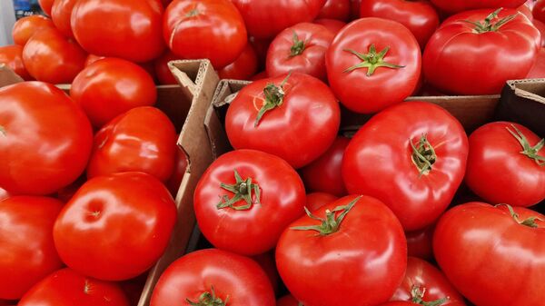 Памідоры - Sputnik Беларусь