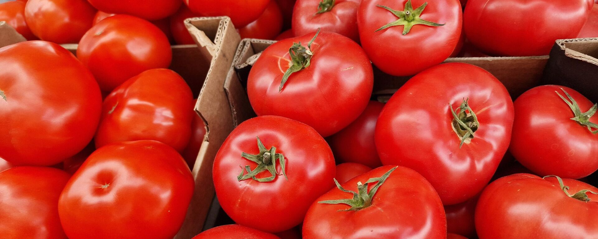 Памідоры - Sputnik Беларусь, 1920, 27.11.2025