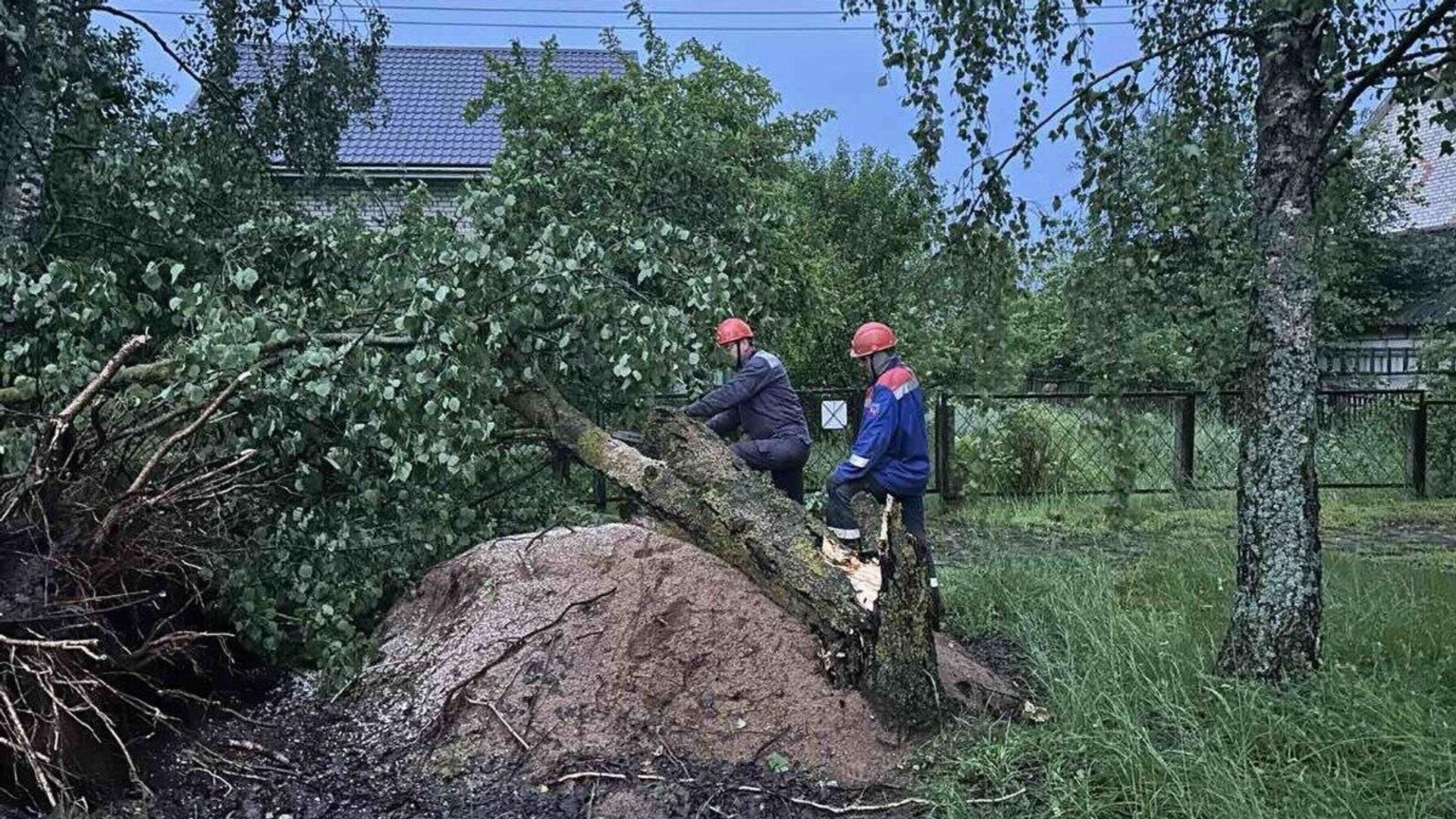 Последствия непогоды в Беларуси - Sputnik Беларусь, 1920, 06.06.2025