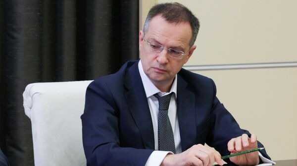 Помощник президента РФ Владимир Мединский - Sputnik Беларусь