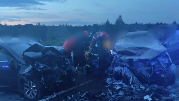 В Витебском районе в лобовом столкновении автомобилей один человек погиб, 4 получили травмы  - Sputnik Беларусь