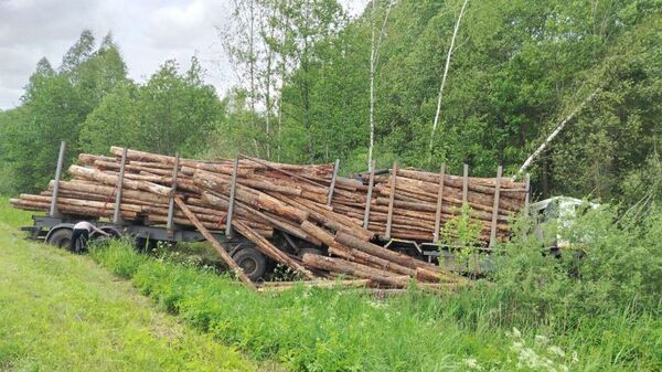 На месте ДТП - Sputnik Беларусь