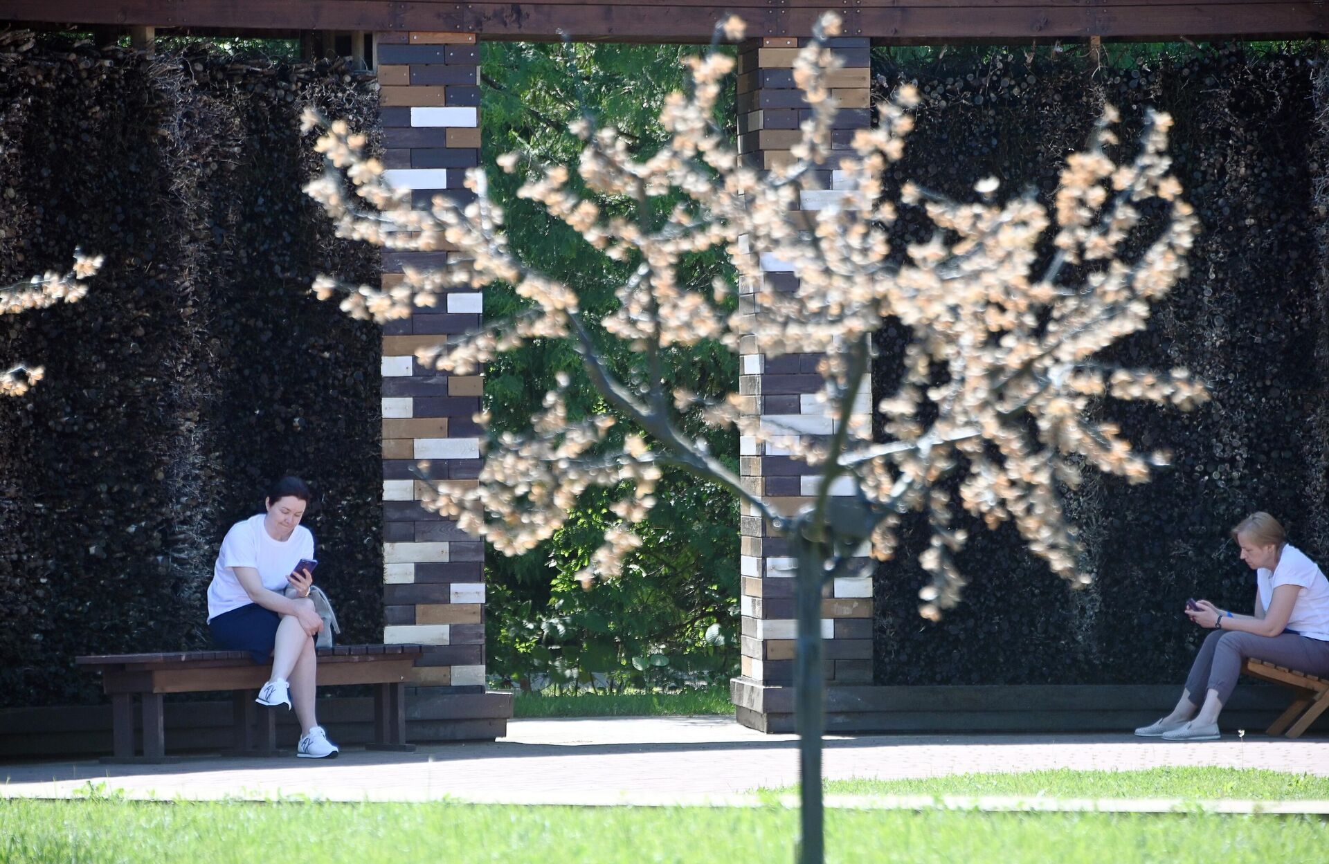 Соляная градирня в санатории Приозёрный в Минской област Соляная градирня в санатории Приозёрный в Минской област - Sputnik Беларусь, 1920, 11.06.2025