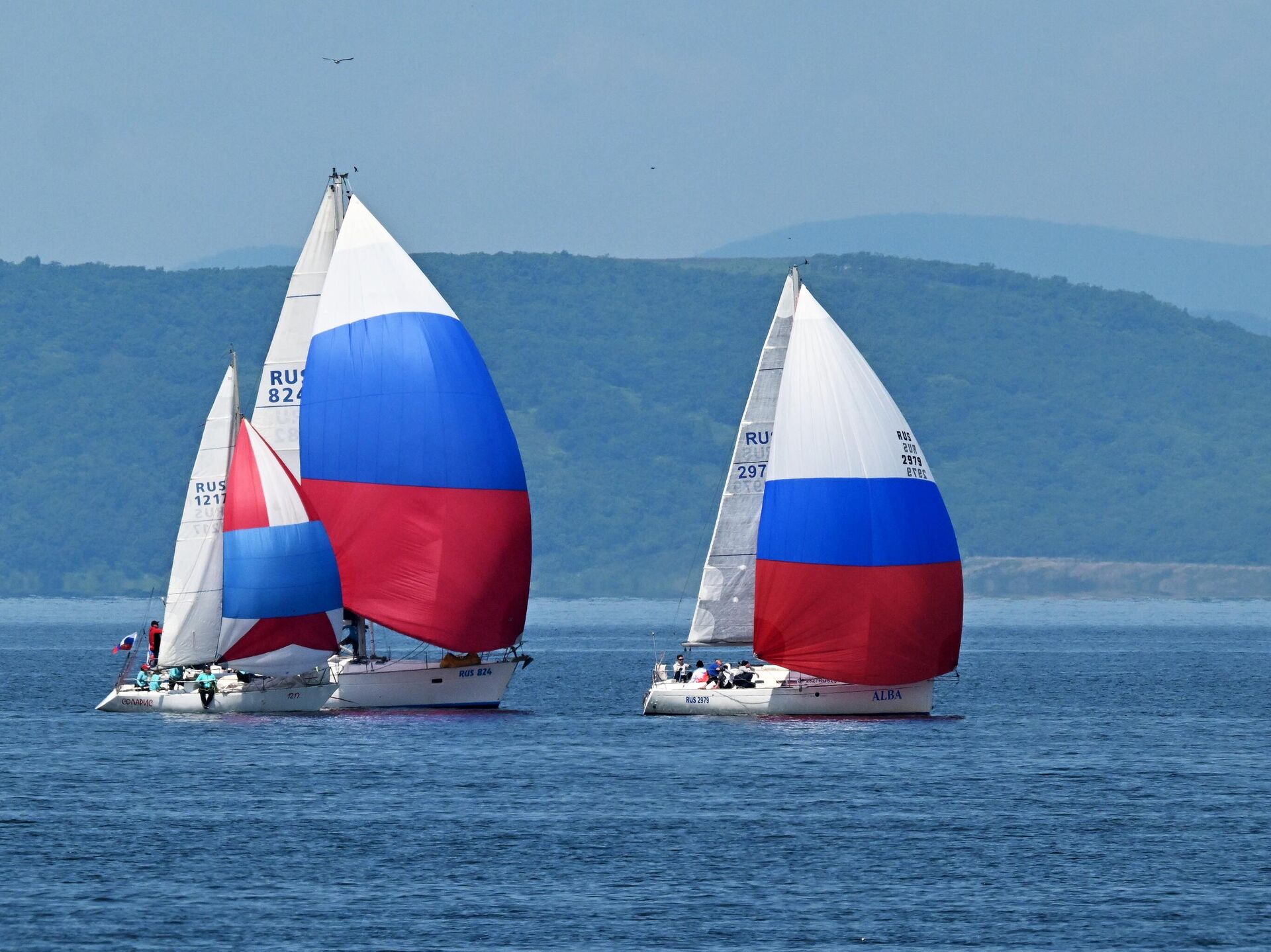 Флаги, песни, паруса – Россия отмечает свой день (фото) - 12.06.2025 ...
