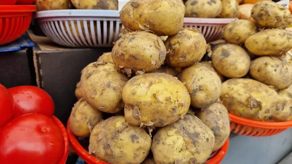 Мыть или не мыть? Селекционер рассказал, как лучше хранить и готовить картофель