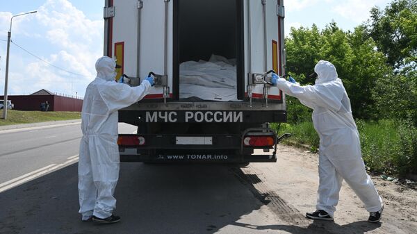Рэфрыжэратары з целамі вайскоўцаў УСУ - Sputnik Беларусь