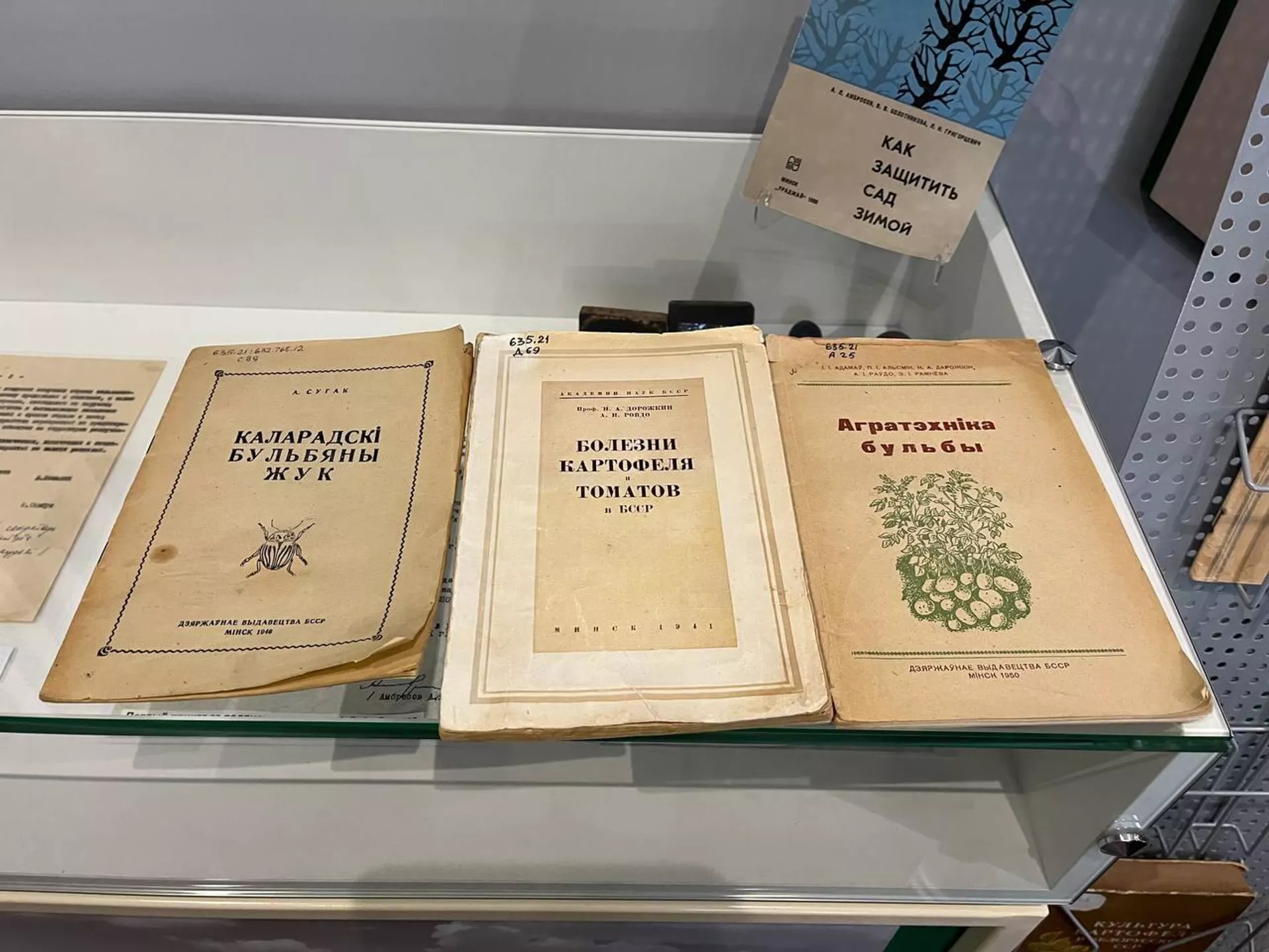 Болезни картофеля Болезни картофеля - Sputnik Беларусь, 1920, 18.06.2025