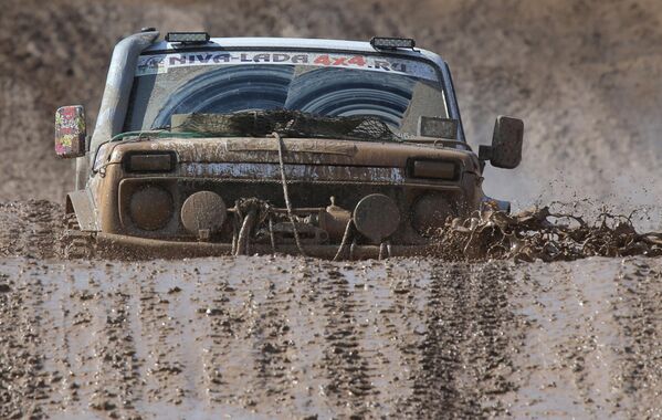 Что касается названия, то, как рассказывал Петр Прусов, в том же 1974 году дизайнер Семушкин предложил для оформления заявки на регистрацию международного товарного знака вариант &quot;Нива&quot;.&quot;Были у этой версии и критики, поскольку имя &quot;Нива&quot; в СССР тогда носил отечественный комбайн. &quot;Про комбайн все забудут, а автомобиль останется&quot;, – возражал Семушкин&quot;, – вспоминал Прусов.Семушкин тогда обратил внимание на то, что  &quot;Нива&quot; – краткое благозвучное слово с положительными ассоциациями, при этом созвучные слова в иностранных языках обозначают самые мирные вещи: сад, поле, горизонт. В итоге предложение Семушкина было одобрено, и ВАЗ-2121 стал называться &quot;Нивой&quot;.На фото: один из экипажей во время прохождения участка трассы ралли RainForest Challenge Russia - 2014 в Пушкинском районе Московской области. - Sputnik Беларусь