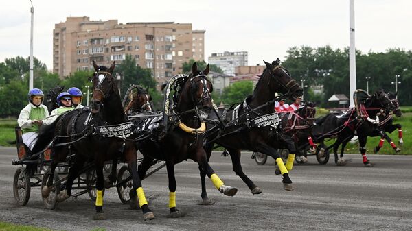 Заезды рускіх троек на Маскоўскім іпадроме - Sputnik Беларусь