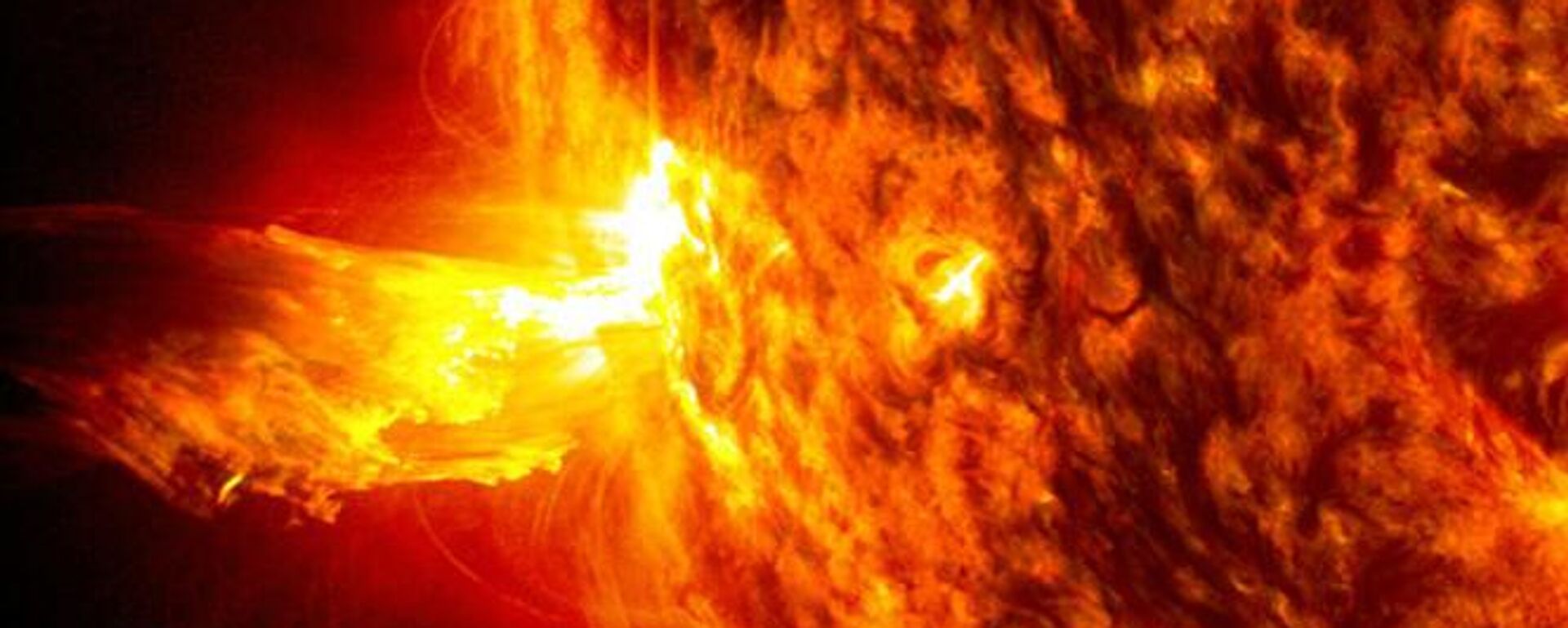 1097560956_0:153:665:419_1920x0_80_0_0_d82fd8963993ac3caece4f3f3e5478bf.jpg