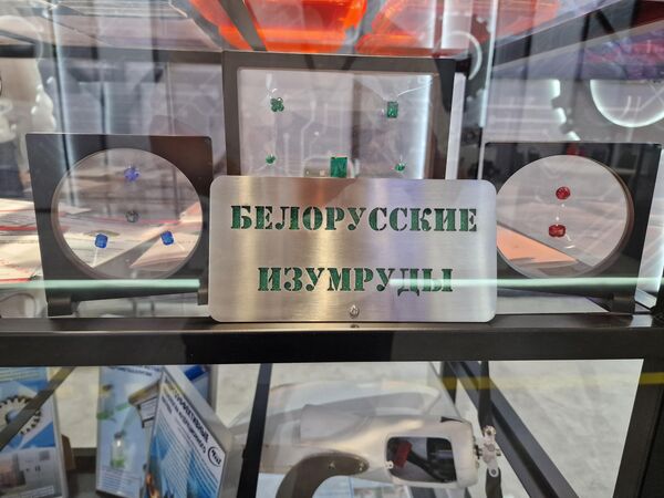 XII Форум регионов Беларуси и России XII Форум регионов Беларуси и России - Sputnik Беларусь