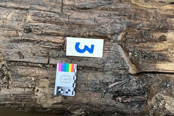 Раскопки Кревского замка - Sputnik Беларусь