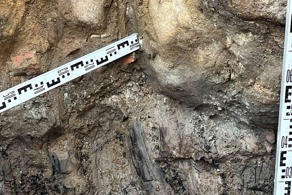 Раскопки Кревского замка - Sputnik Беларусь