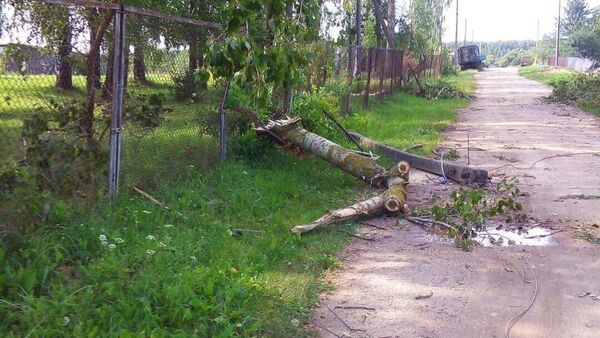 Последствия непогоды в Витебской области - Sputnik Беларусь
