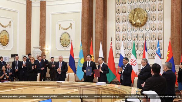 Заседание Высшего Евразийского экономического совета - Sputnik Беларусь