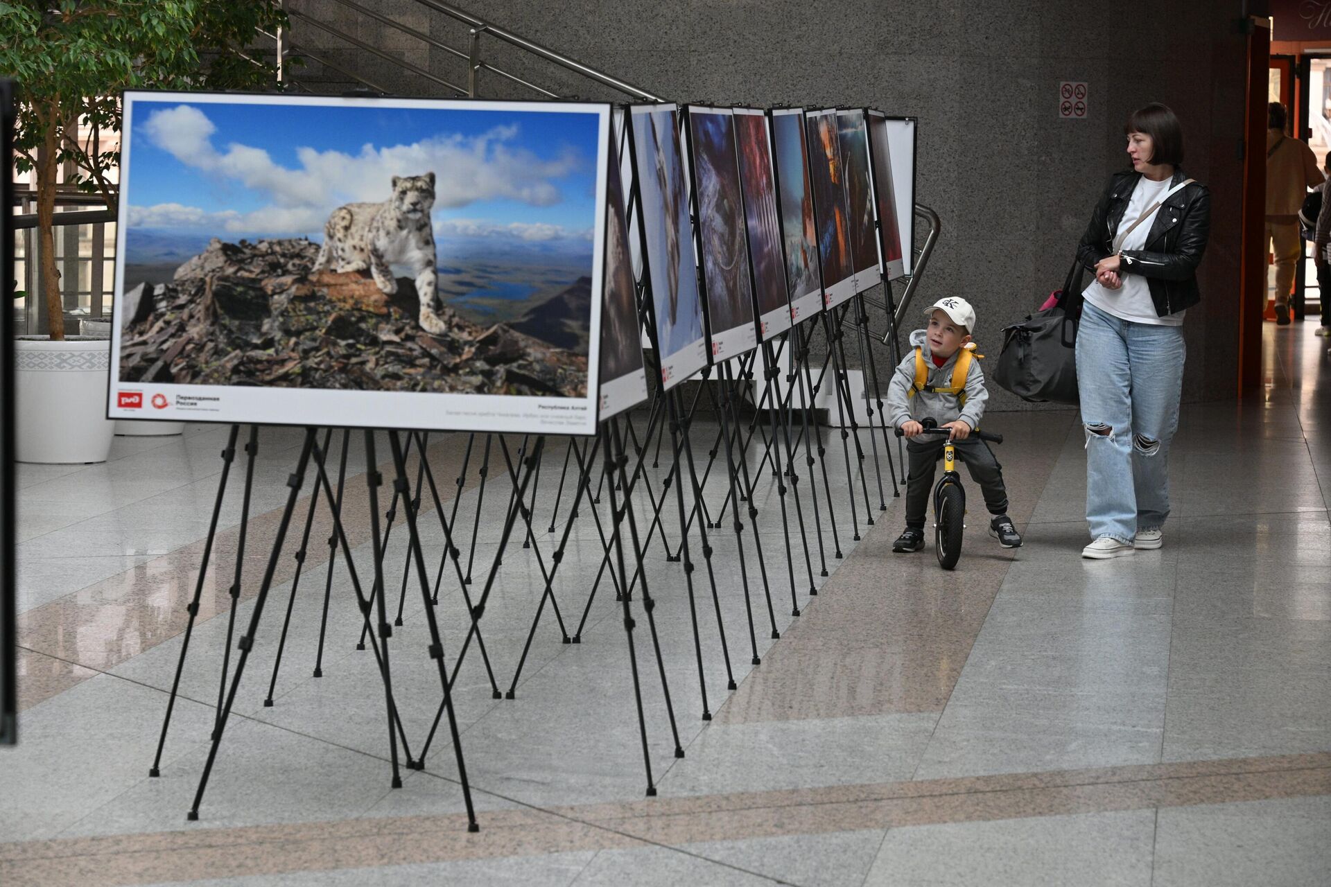 Фотовыставка Первозданная Россия Фотовыставка Первозданная Россия - Sputnik Беларусь, 1920, 01.07.2025