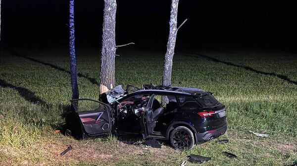 На месте ДТП - Sputnik Беларусь