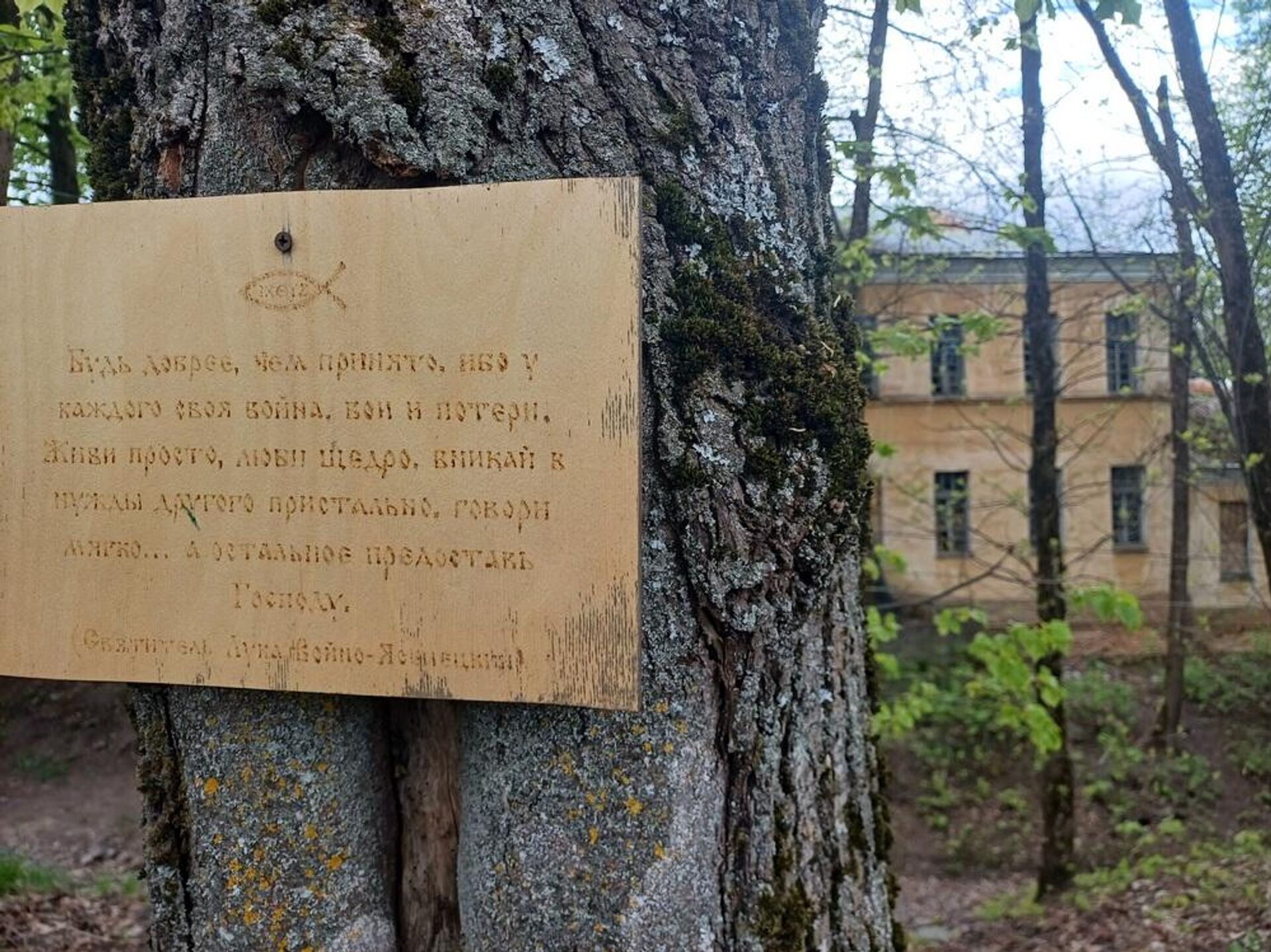 На территории бывшей психбольницы На территории бывшей психбольницы - Sputnik Беларусь, 1920, 09.07.2025