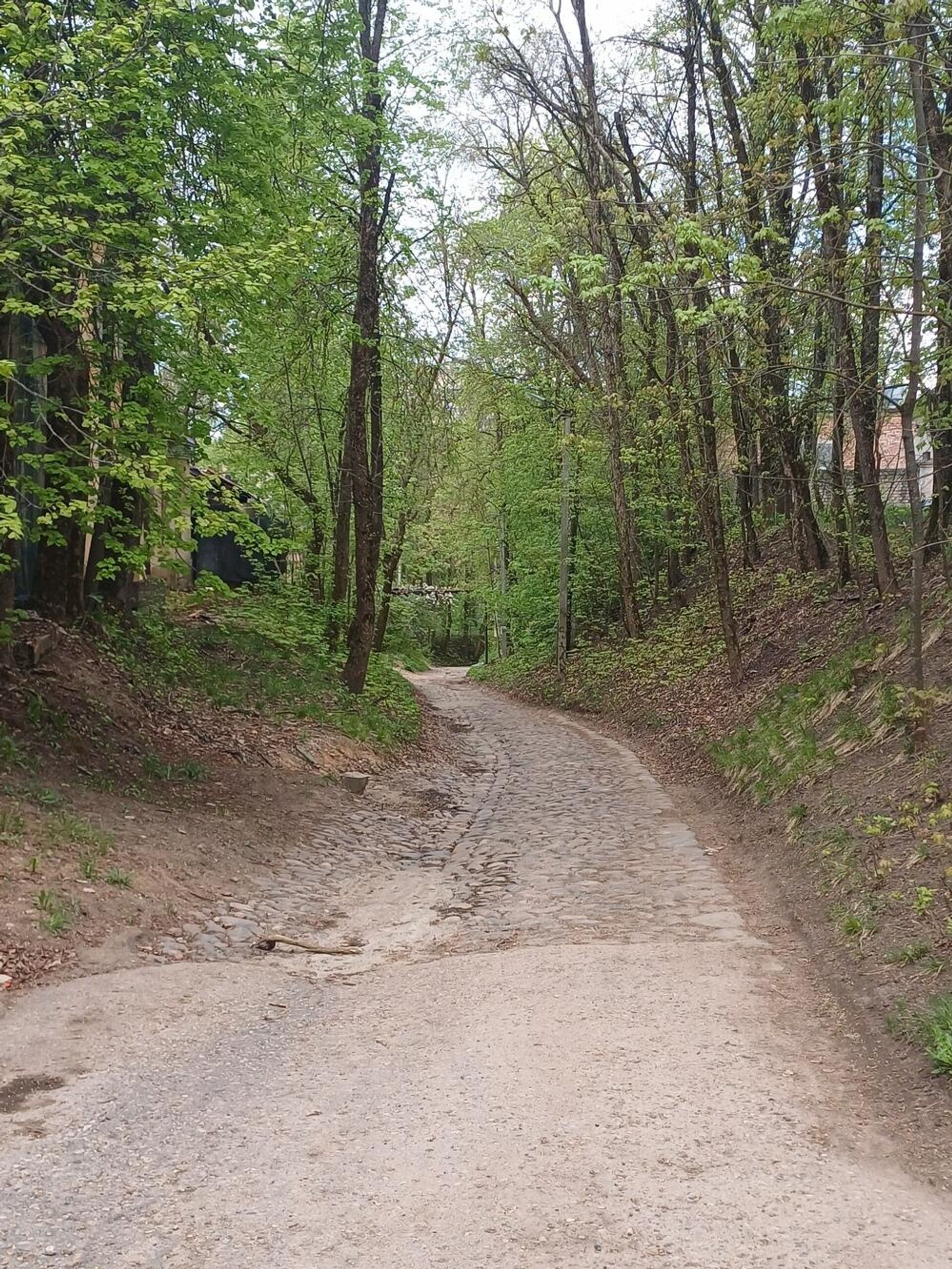 Мостовая на улице Войкова Мостовая на улице Войкова - Sputnik Беларусь, 1920, 09.07.2025