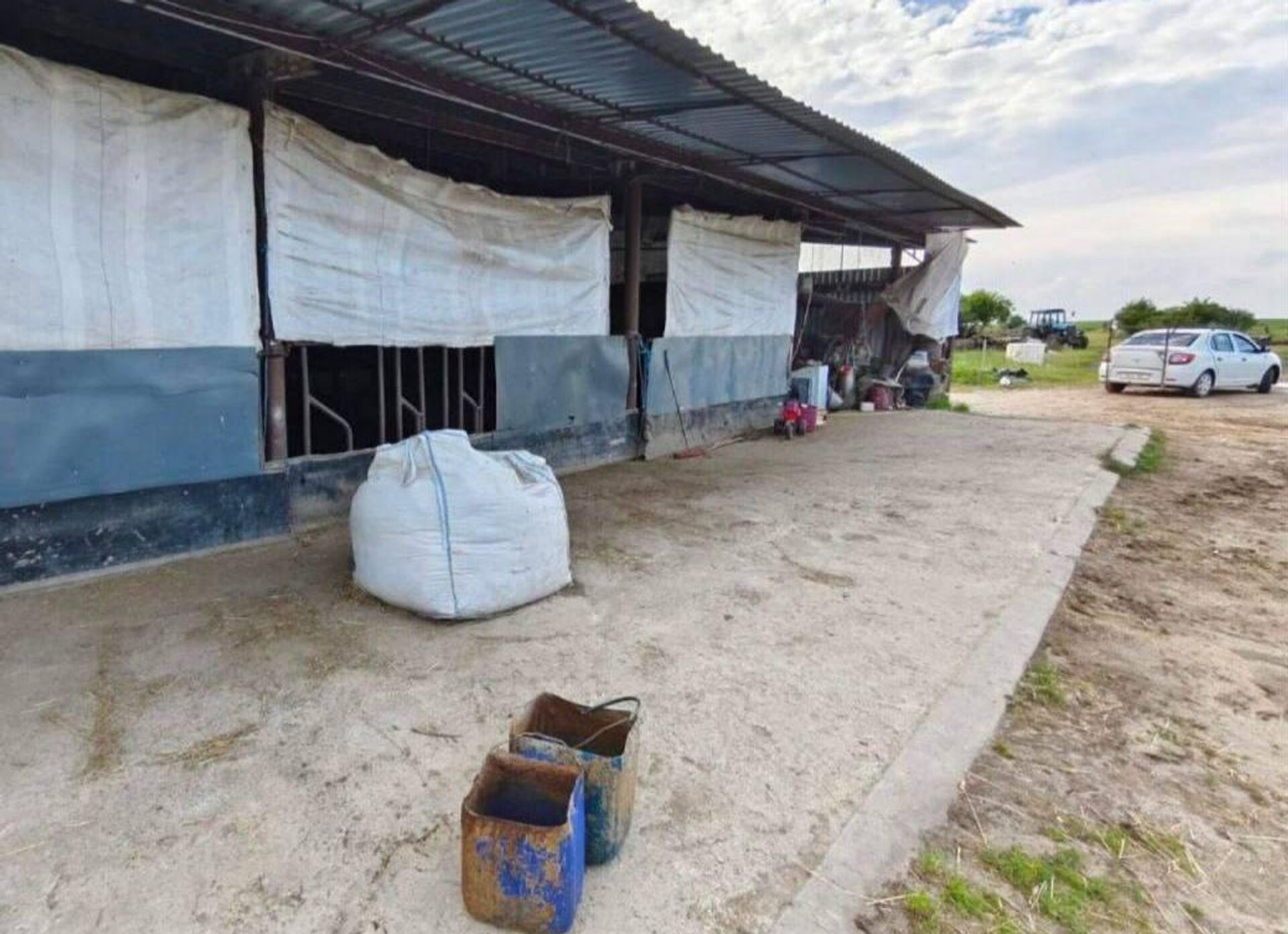 Фермерское хозяйство в Березовском районе - Sputnik Беларусь, 1920, 09.07.2025