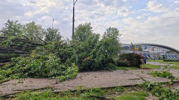 Последствия непогоды в Могилеве - Sputnik Беларусь