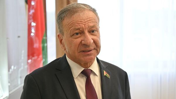 Председатель Комиссии Парламентского собрания Союза Беларуси и России, депутат Палаты представителей Беларуси Виктор Николайкин - Sputnik Беларусь