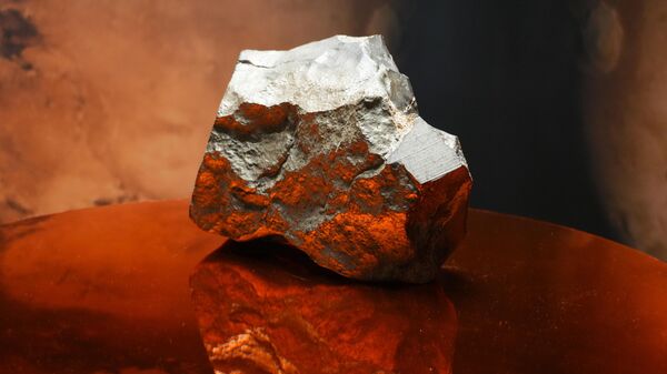 Фрагмент планеты Марс под названием NWA 16788 - Sputnik Беларусь