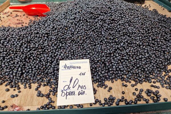   - Sputnik Беларусь