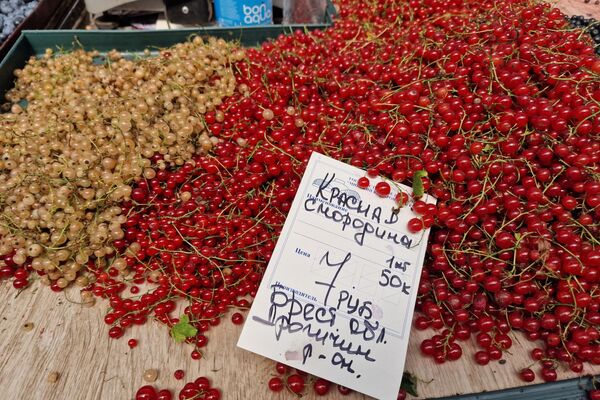   - Sputnik Беларусь