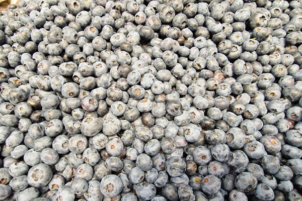   - Sputnik Беларусь