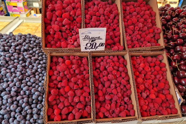   - Sputnik Беларусь