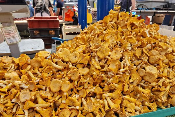   - Sputnik Беларусь