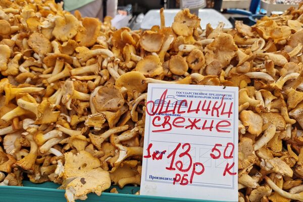   - Sputnik Беларусь