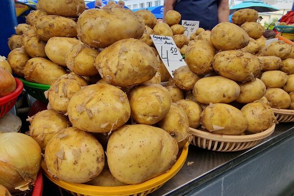   - Sputnik Беларусь