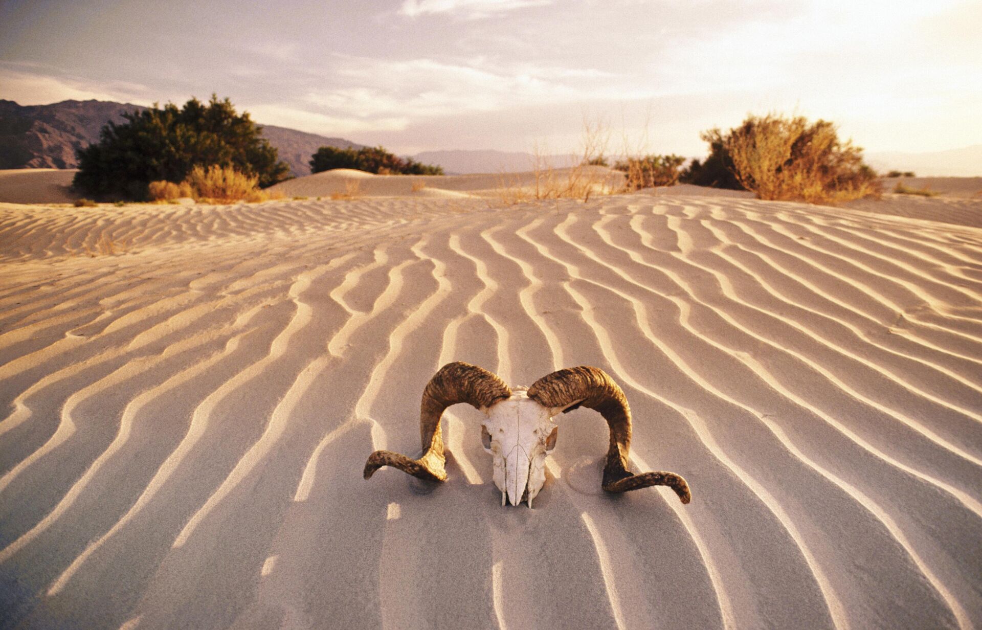 Долина смерти - Sputnik Беларусь, 1920, 21.07.2025