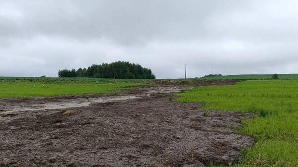 Под Новогрудком из-за загрязнения реки Ятранки погибла рыба - Sputnik Беларусь