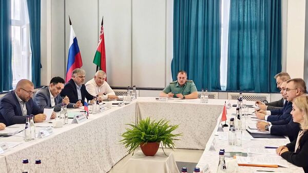 Руководители таможенных органов Беларуси и России обсудили контроль товаров - Sputnik Беларусь