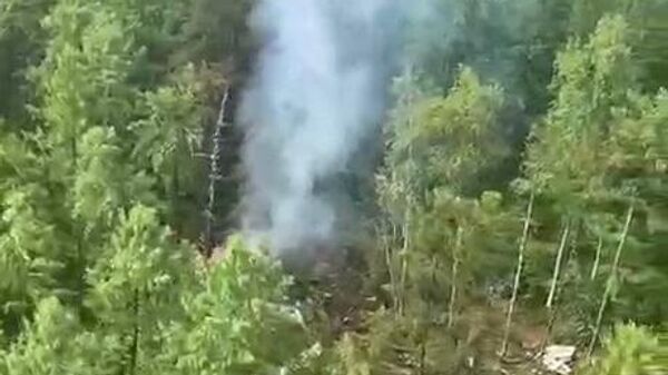 Место крушения самолета Ан-24РВ RA-47315 авиакомпании Ангара в Амурской области - Sputnik Беларусь