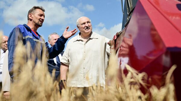 Александр Лукашенко во время посещения ОАО Озерицкий-Агро - Sputnik Беларусь