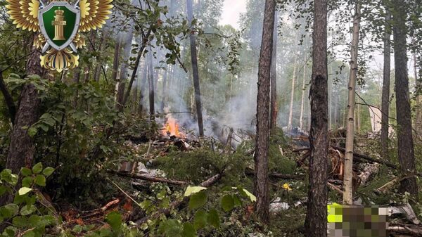 Место падения самолета АН-24 в Амурской области - Sputnik Беларусь