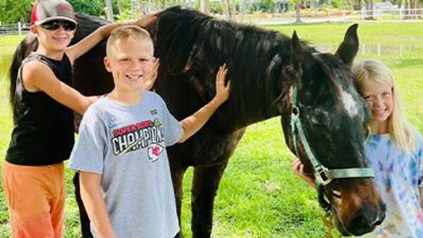 Лошадь по кличке Моки  - Sputnik Беларусь