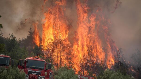 Лесной пожар в Турции - Sputnik Беларусь