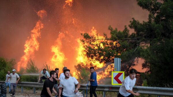 Лесные пожары в Турции - Sputnik Беларусь